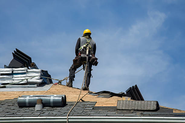Professional Roofing technician working in Roy, WA